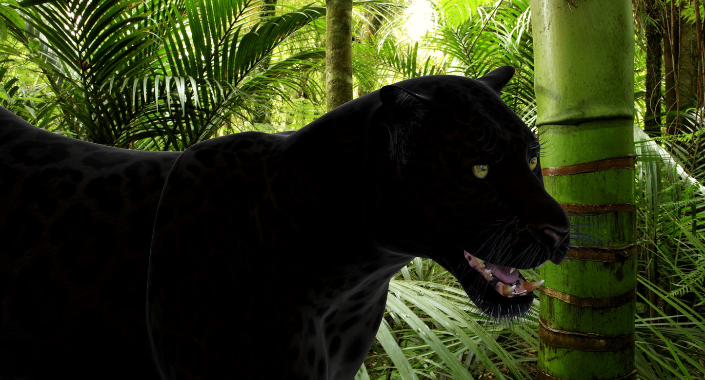 Big Cats 3D Model Animated