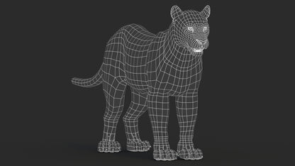 Black Panther 3D Model Fur