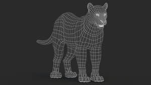 Black Panther 3D Model with Fur Wireframe 0 Thumbnail