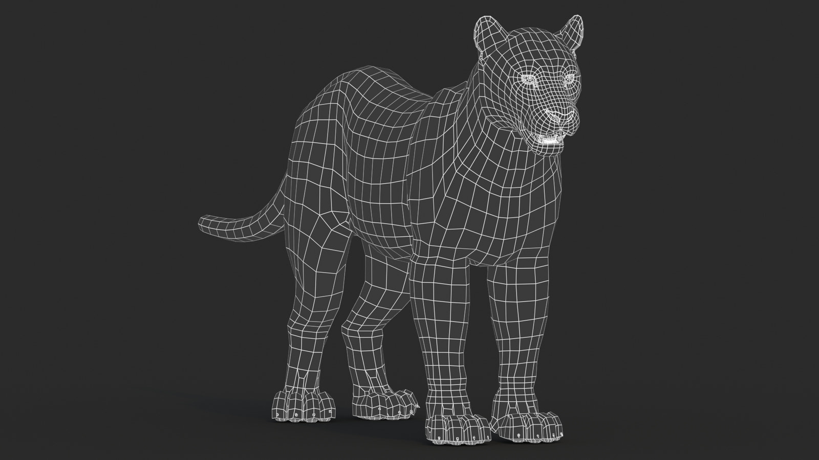 Black Panther 3D Model with Fur Wireframe 0