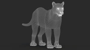 Black Panther 3D Model with Fur Wireframe 1 Thumbnail
