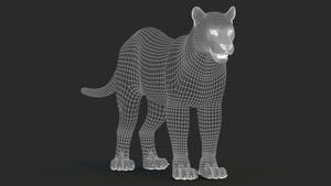 Black Panther 3D Model with Fur Wireframe 1 Thumbnail