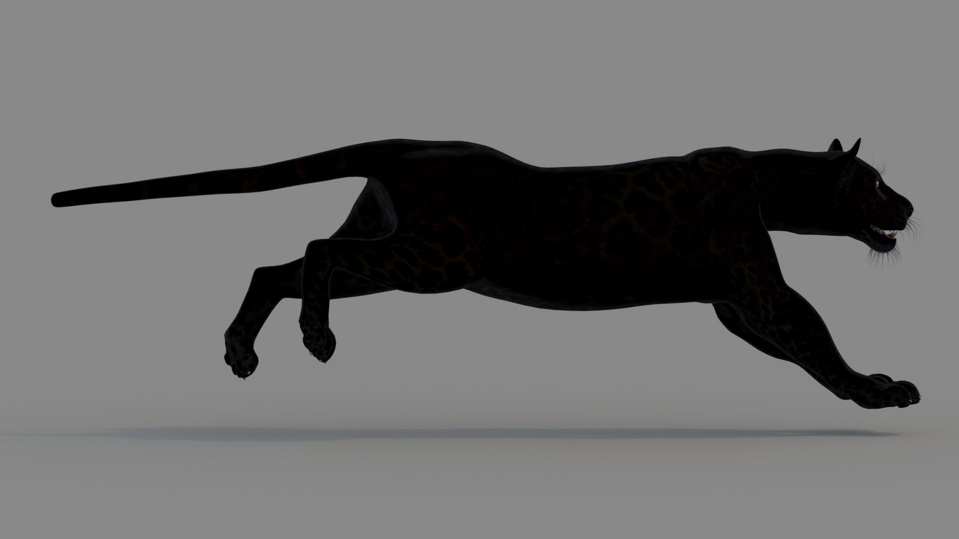 Animated Black Panther Animal 3D Model - 360 Degree View