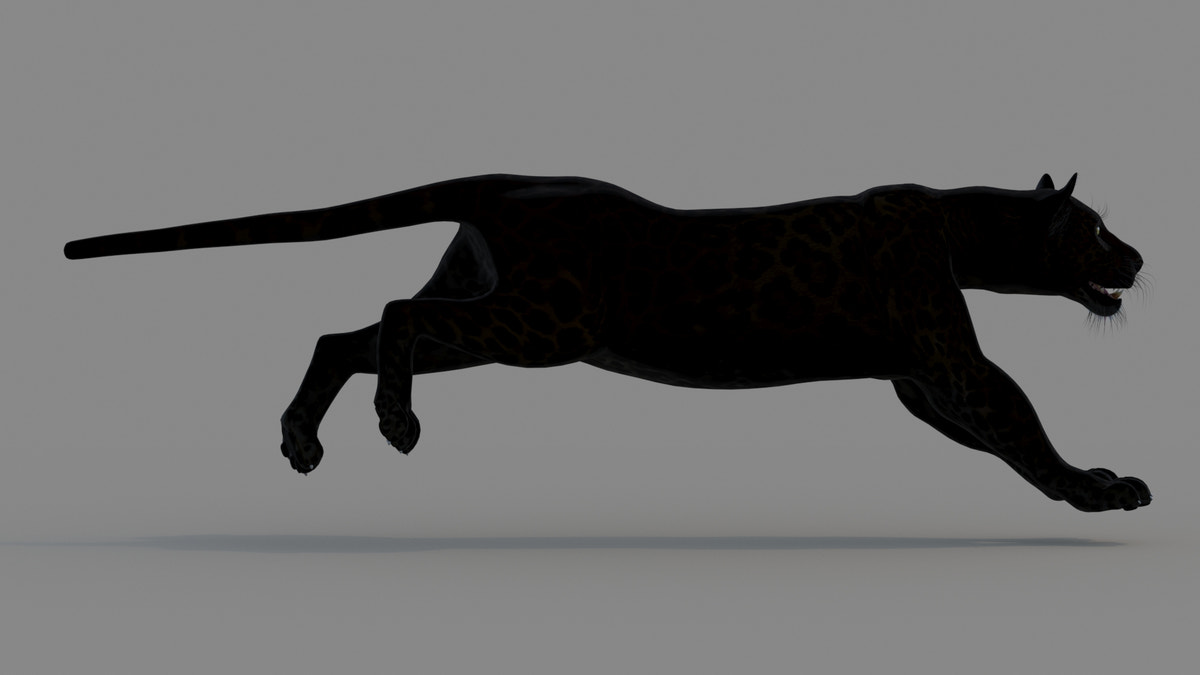 Animated Black Panther Animal 3D Model - 360 Degree View