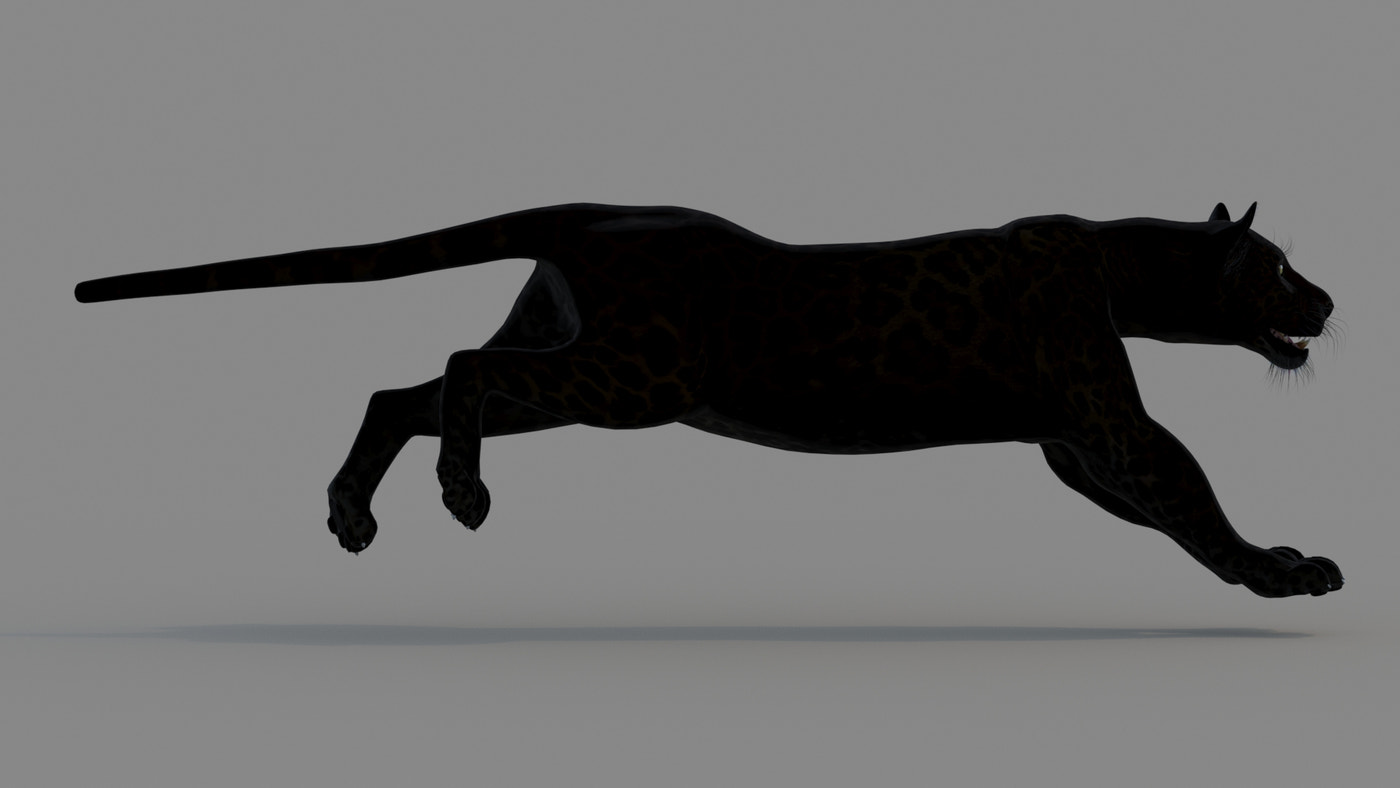 Animated Black Panther Animal 3D Model - 360 Degree View
