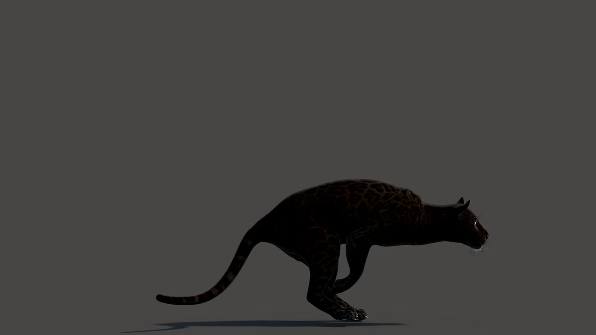 Animated Black Panther Animal 3D Model - 360 Degree View