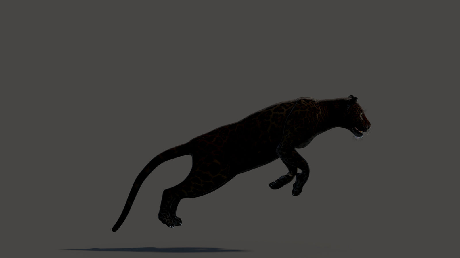Animated Black Panther Animal 3D Model 360° view 3 frame 5