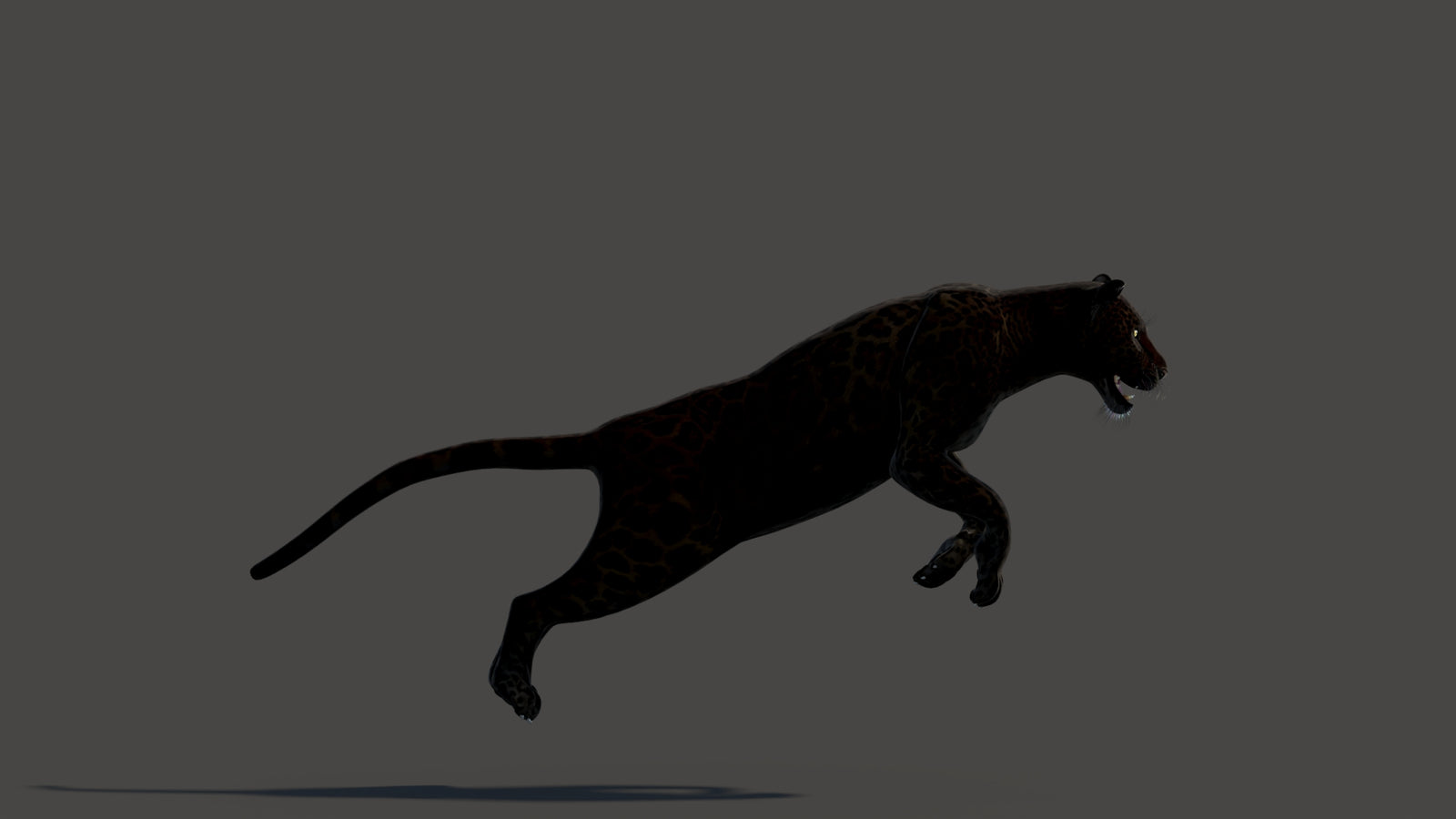 Animated Black Panther Animal 3D Model 360° view 3 frame 6