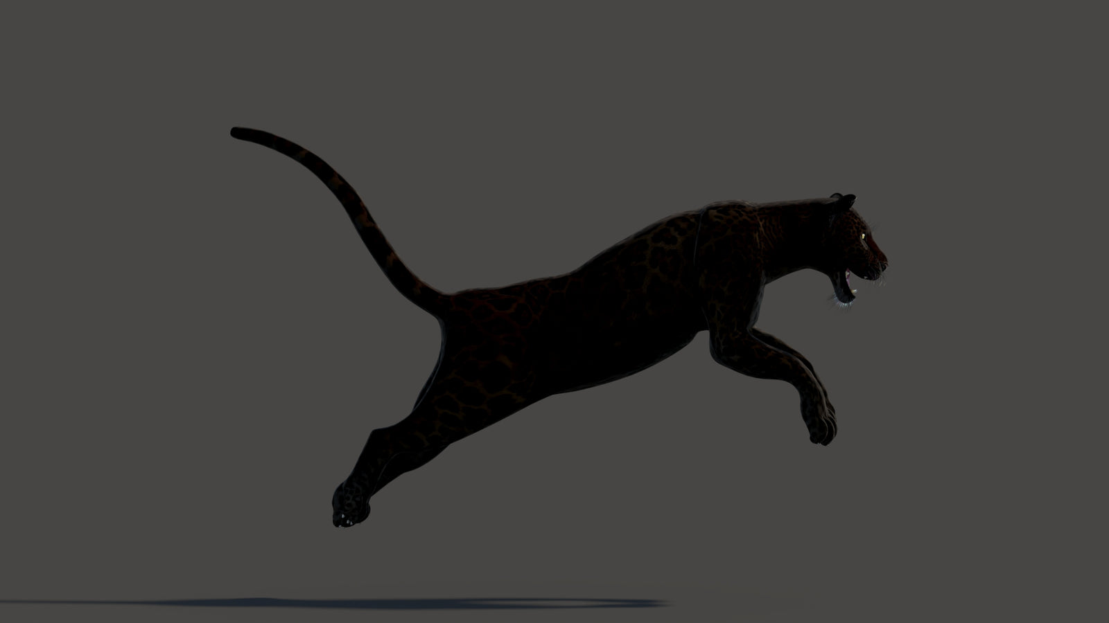 Animated Black Panther Animal 3D Model 360° view 3 frame 8