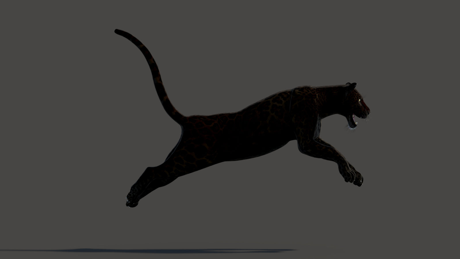 Animated Black Panther Animal 3D Model 360° view 3 frame 9