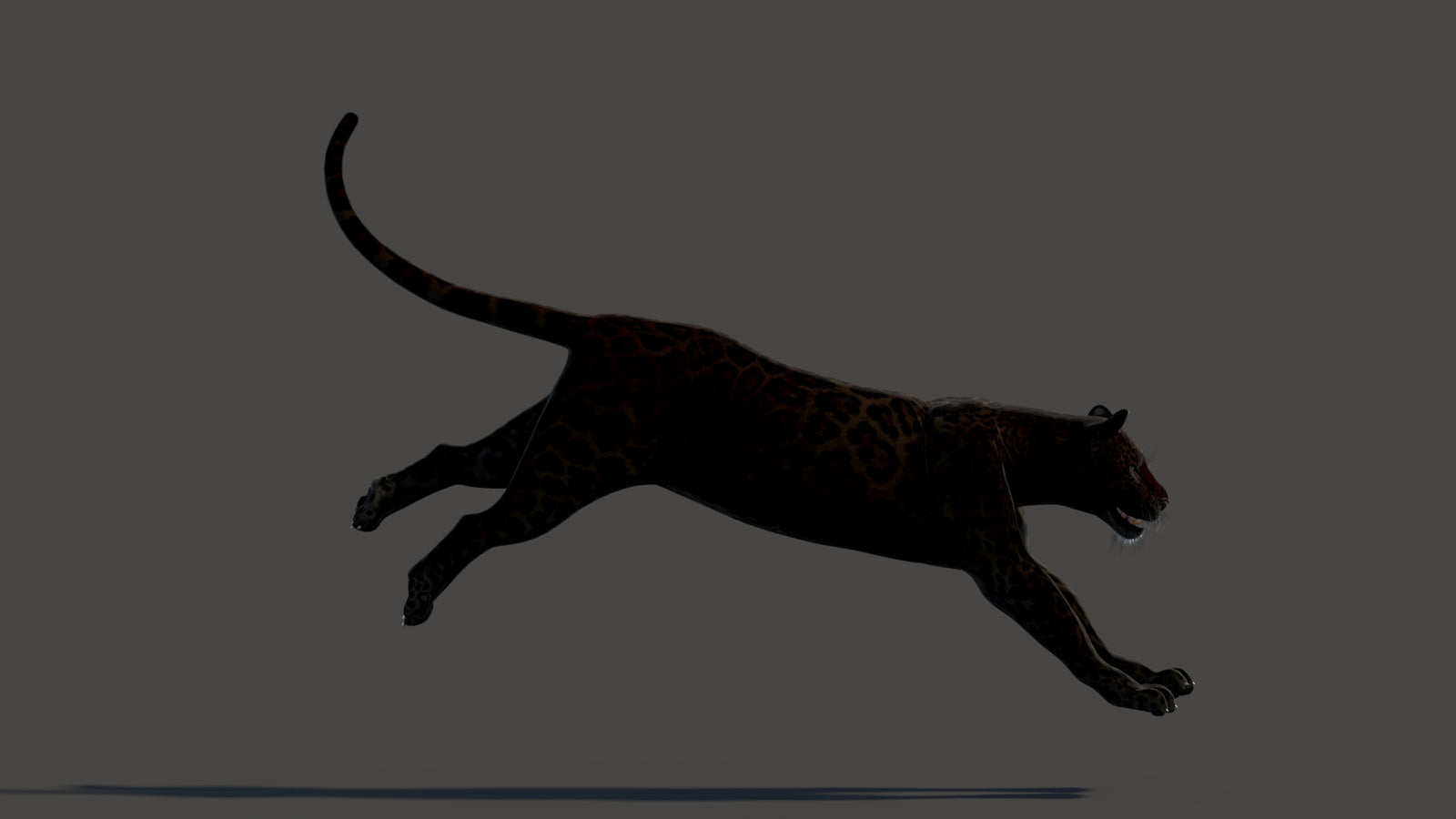 Animated Black Panther Animal 3D Model 360° view 3 frame 15