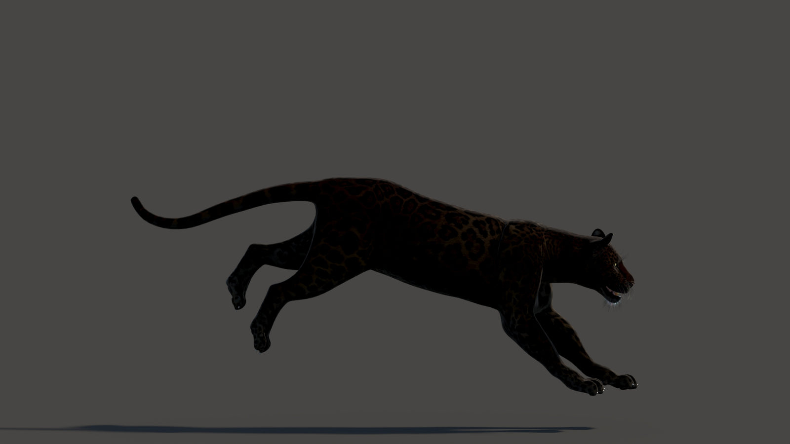 Animated Black Panther Animal 3D Model 360° view 3 frame 17