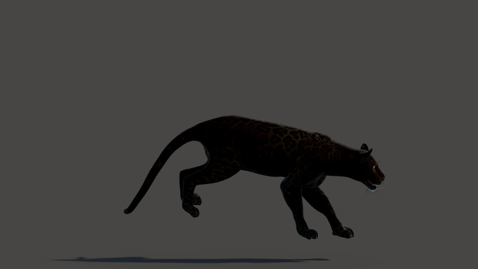 Animated Black Panther Animal 3D Model 360° view 3 frame 20