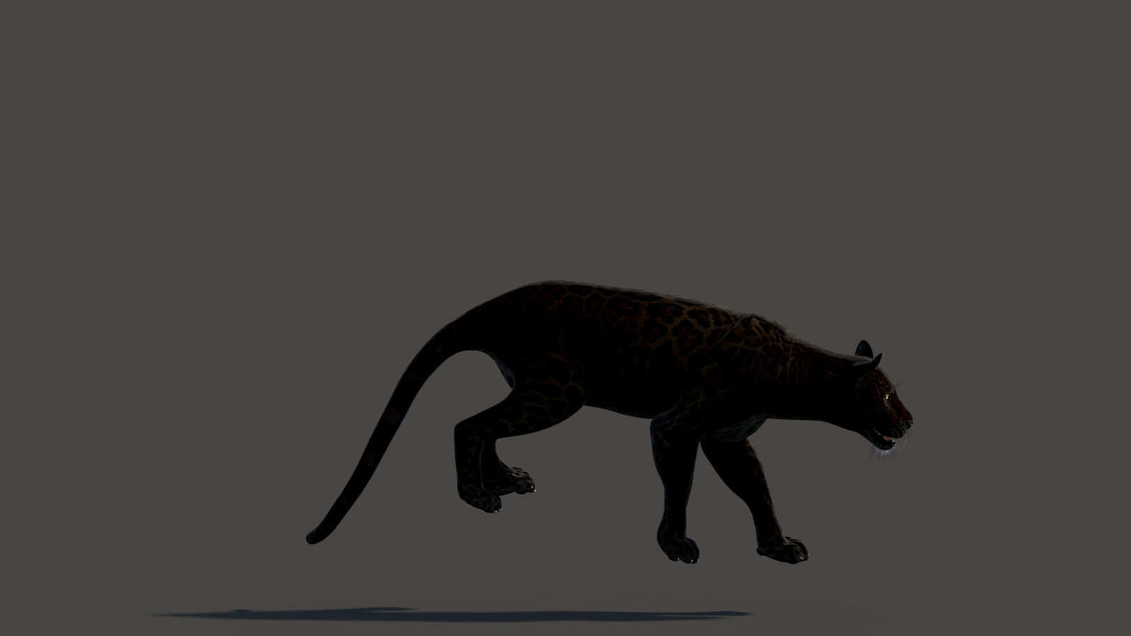 Animated Black Panther Animal 3D Model 360° view 3 frame 21