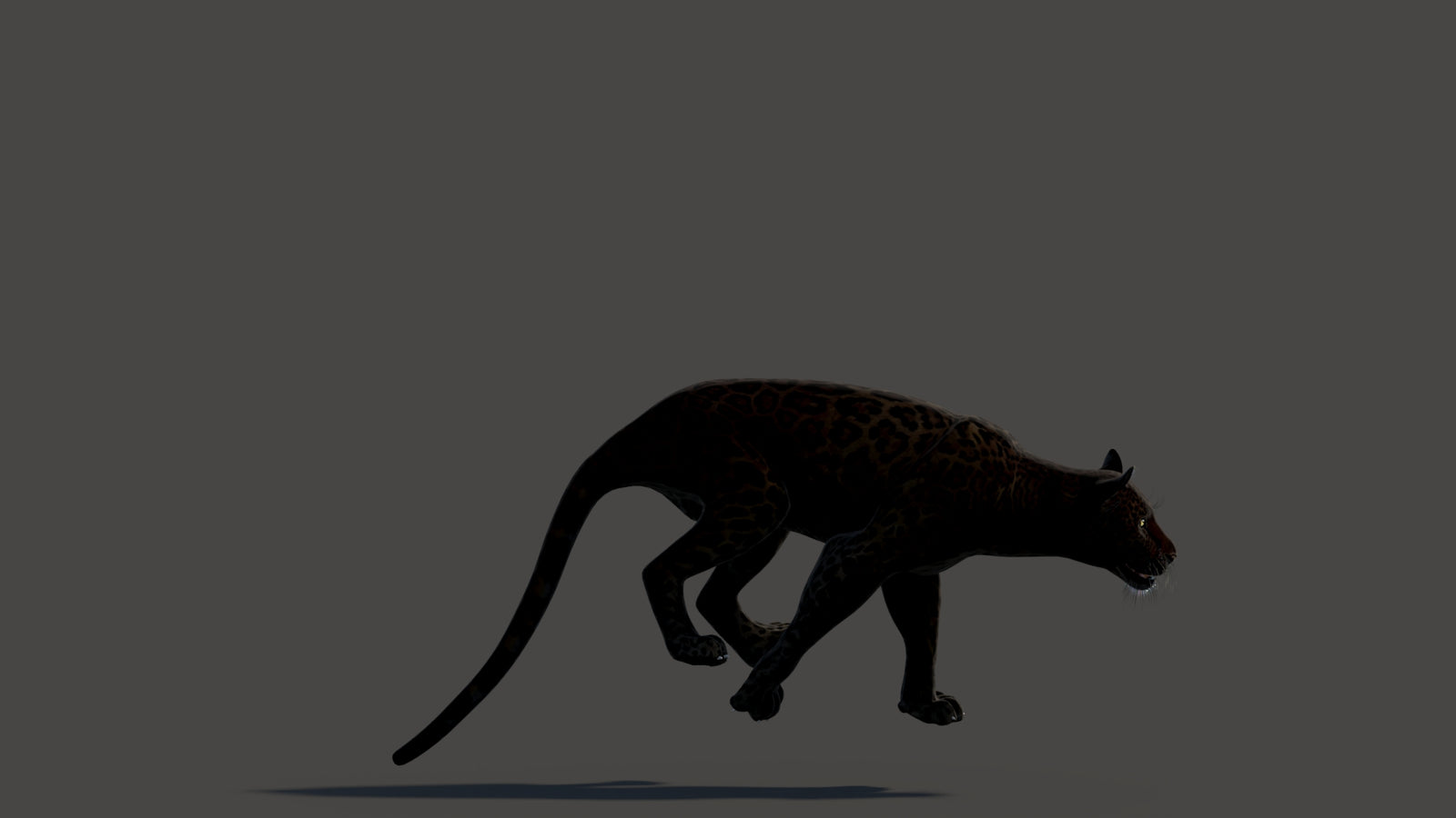 Animated Black Panther Animal 3D Model 360° view 3 frame 23