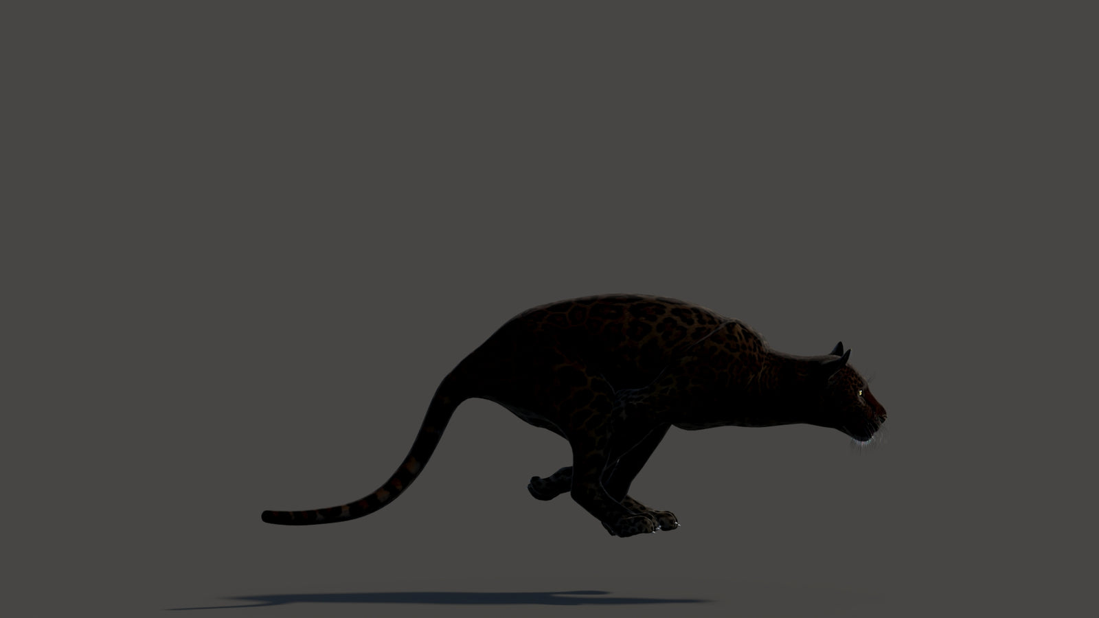 Animated Black Panther Animal 3D Model 360° view 3 frame 26