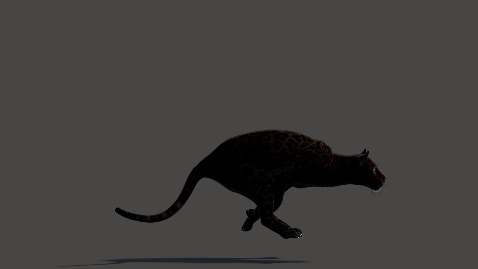 Animated Black Panther Animal 3D Model 360° view 3 frame 28