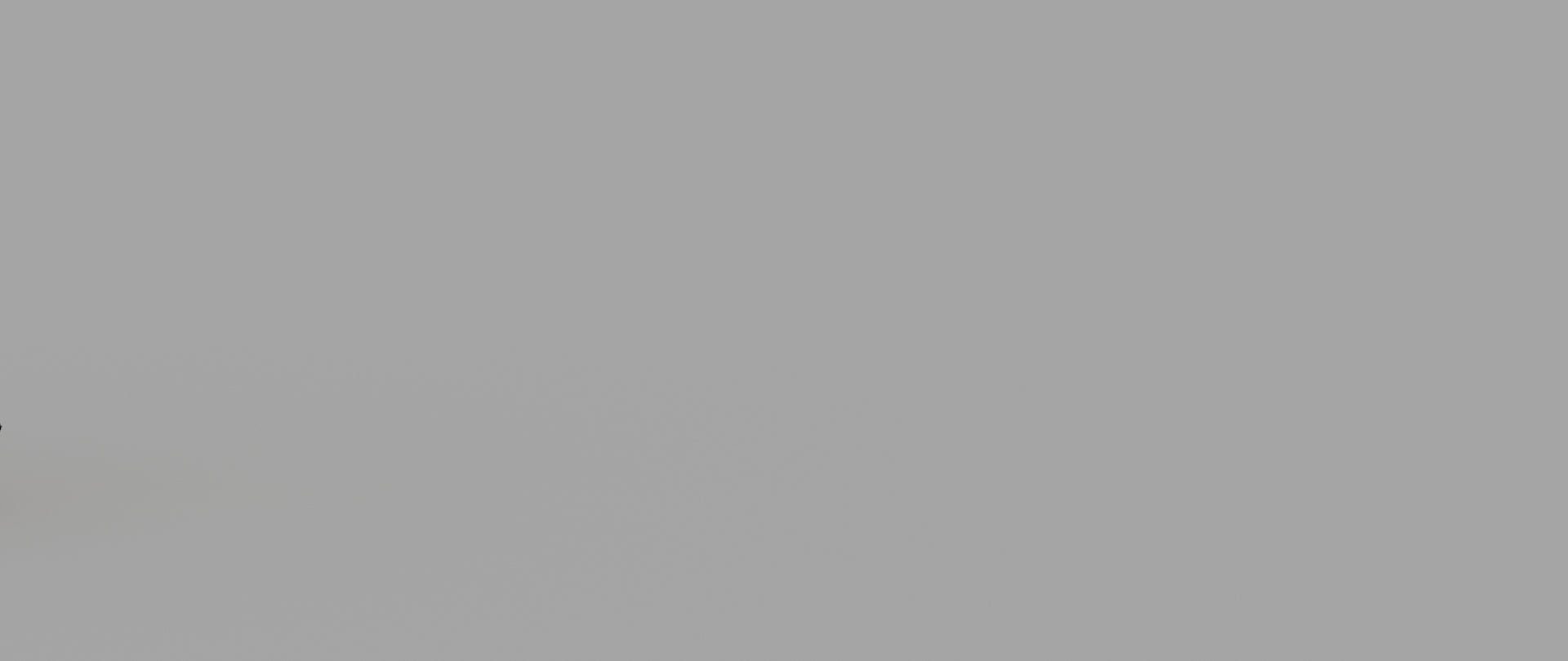 Animated Black Panther Animal 3D Model - 360 Degree View
