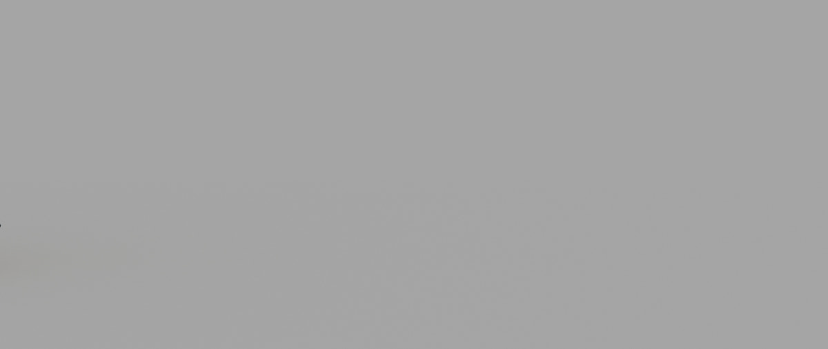 Animated Black Panther Animal 3D Model - 360 Degree View