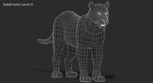 Big Cats 03 3D Model Thumbnail