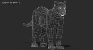 Big Cats 03 3D Model Thumbnail