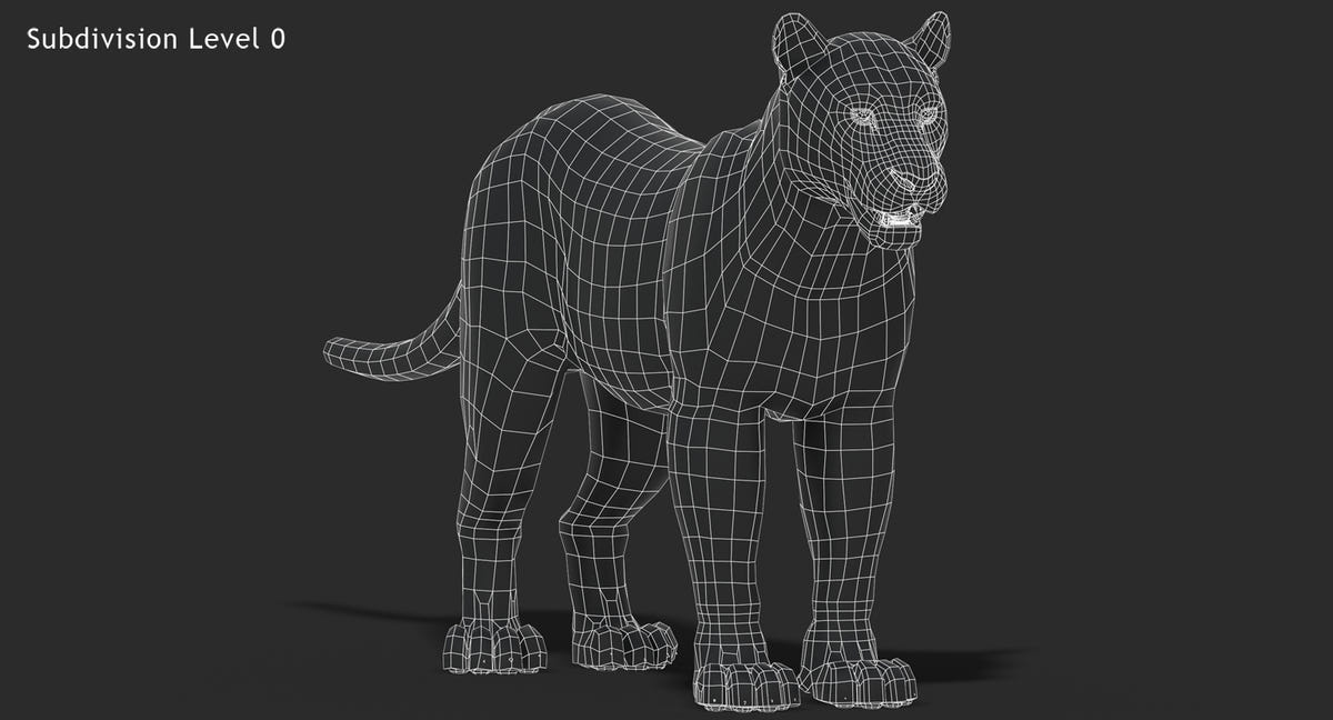 Big Cats 03 3D Model