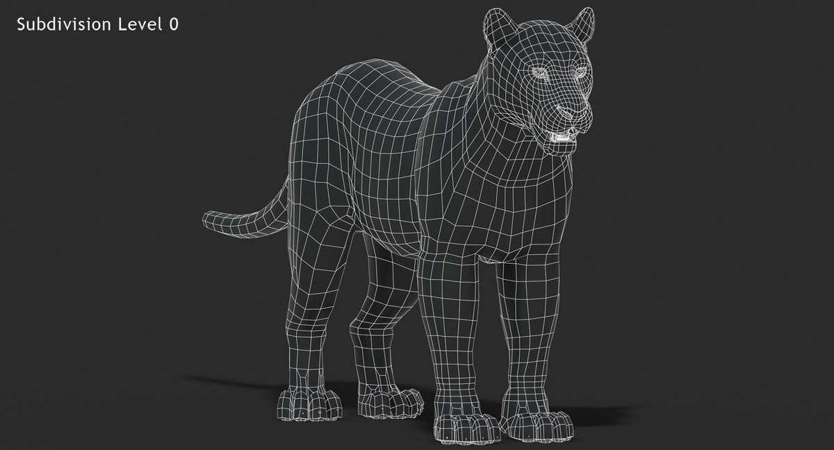 Big Cats 03 3D Model