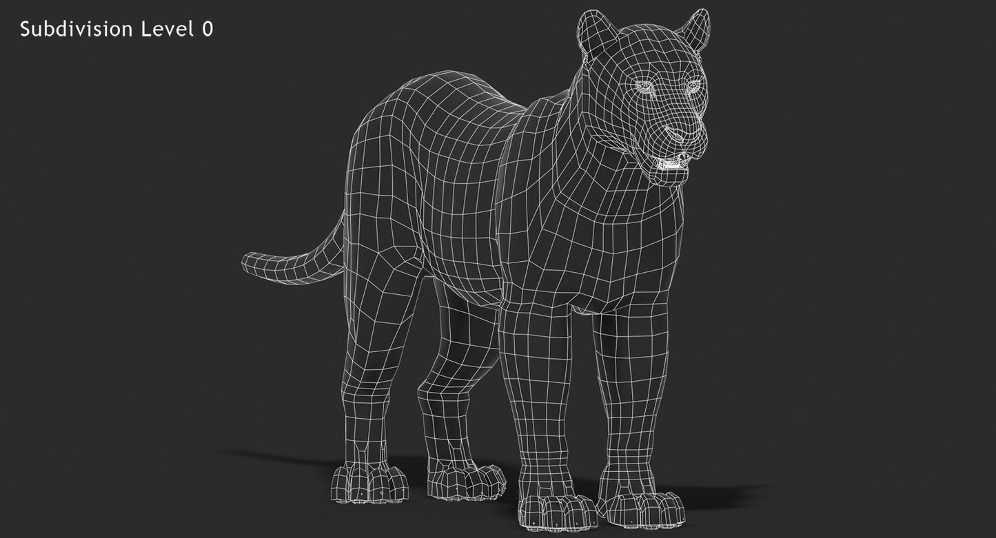 Big Cats 03 3D Model
