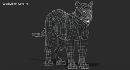Big Cats 03 3D Model