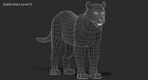 Big Cats 3D Model Thumbnail