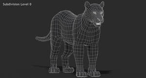 Big Cats 3D Model Thumbnail