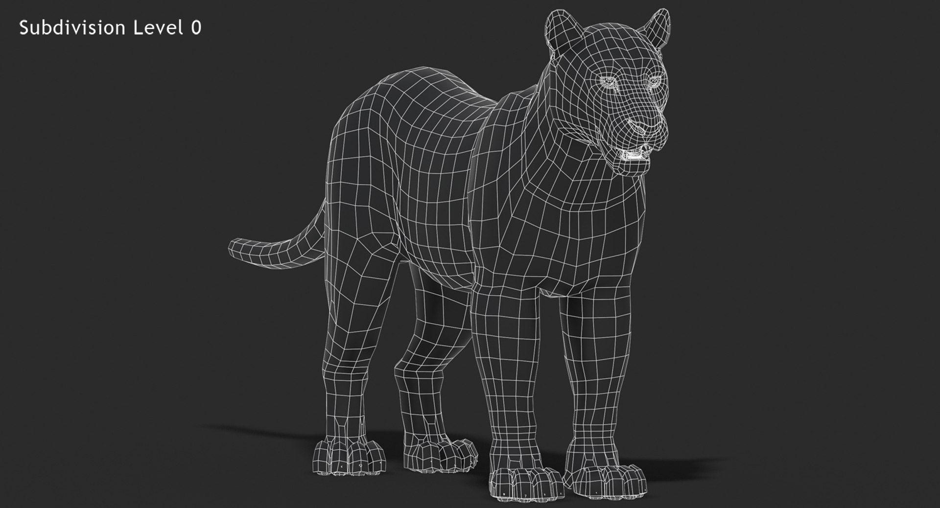 Big Cats 3D Model