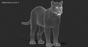 Big Cats 03 3D Model Thumbnail
