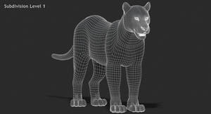 Big Cats 03 3D Model Thumbnail