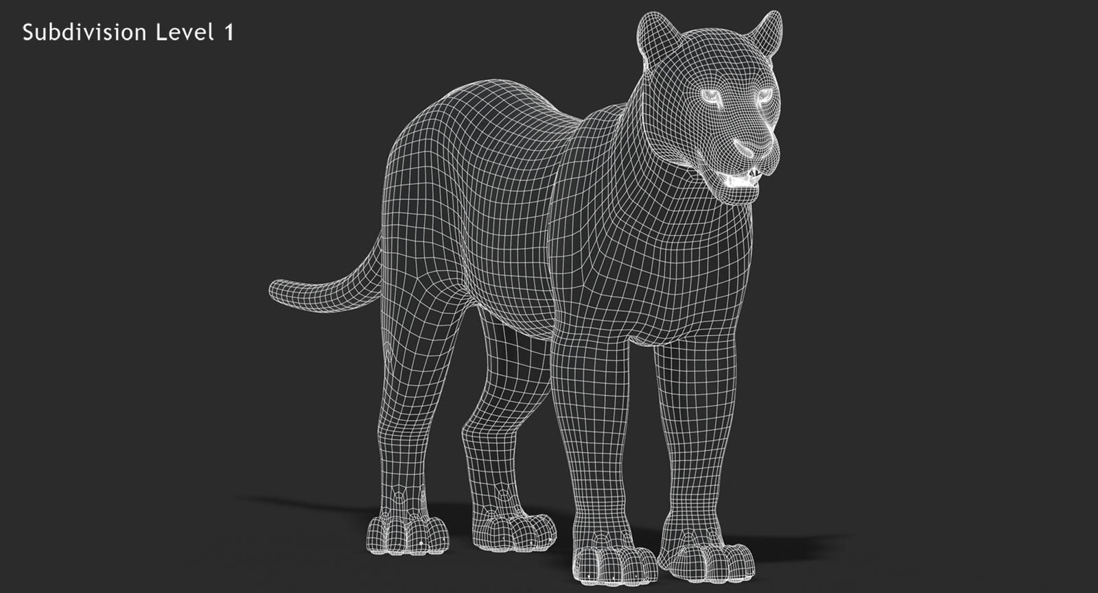 Big Cats 03 3D Model