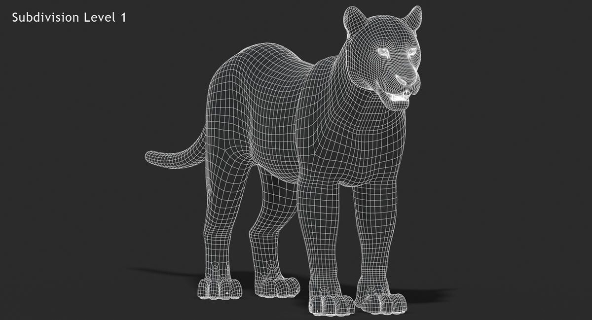 Big Cats 03 3D Model