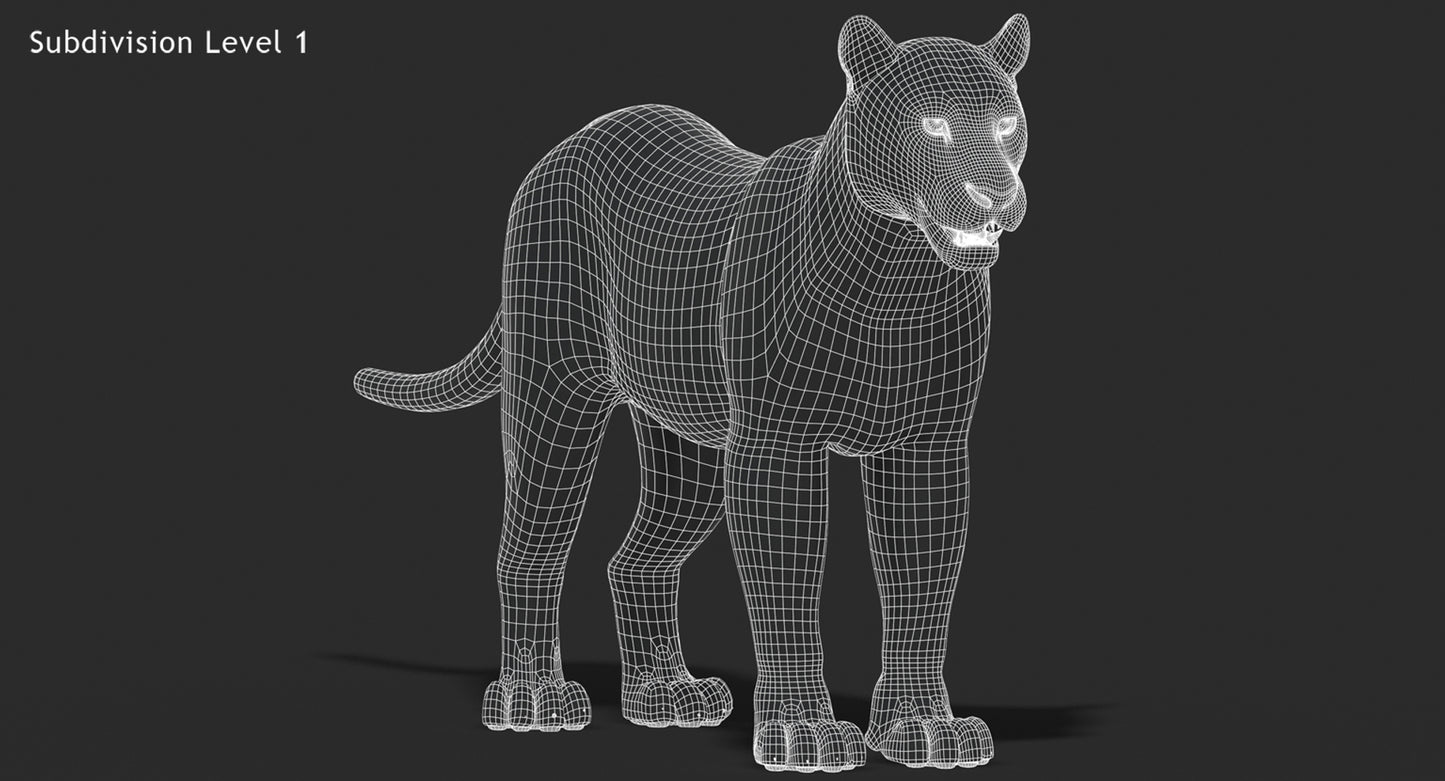 Big Cats 03 3D Model