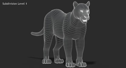 Big Cats 03 3D Model