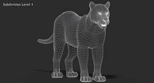 Big Cats 3D Model Thumbnail