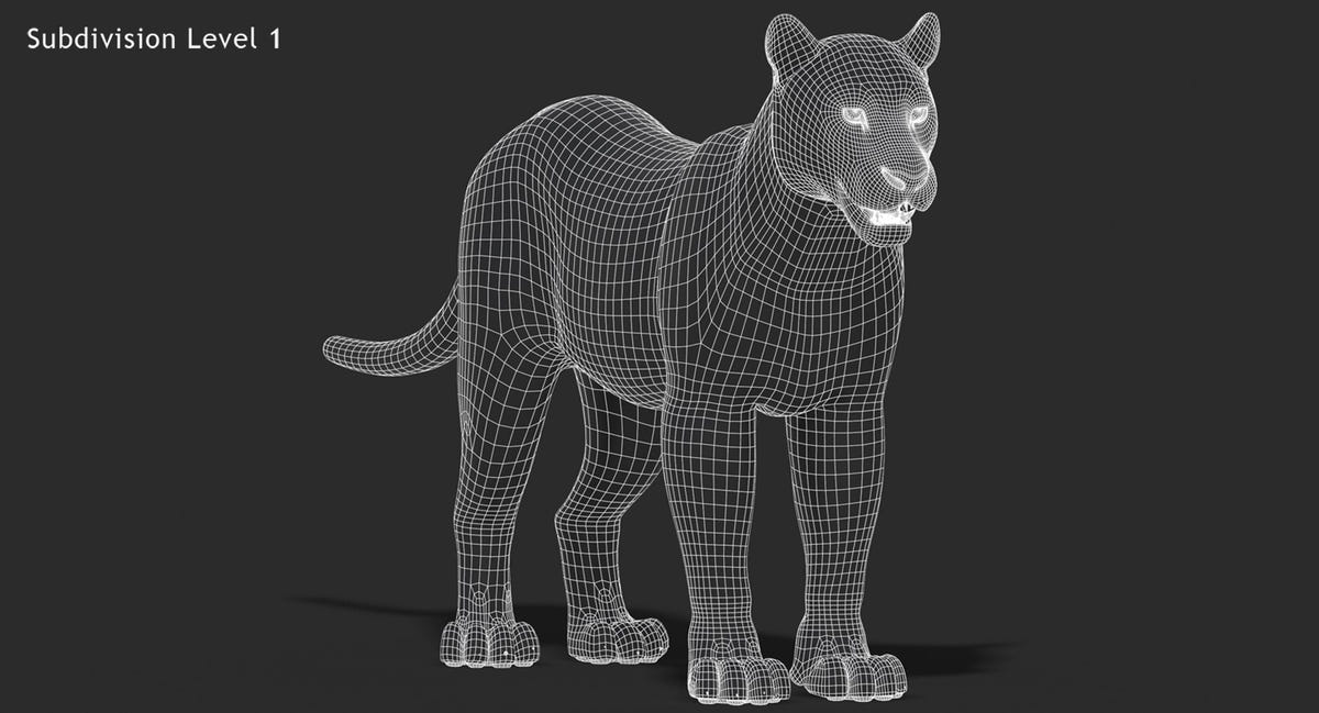 Big Cats 3D Model