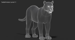 Big Cats 3D Model Thumbnail