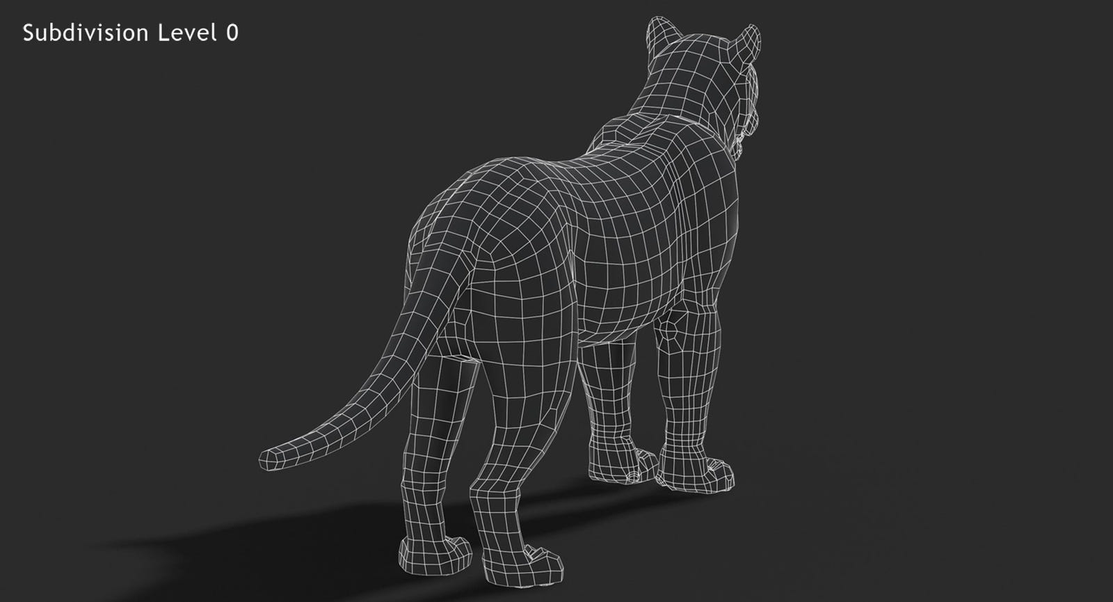 Big Cats 3D Model
