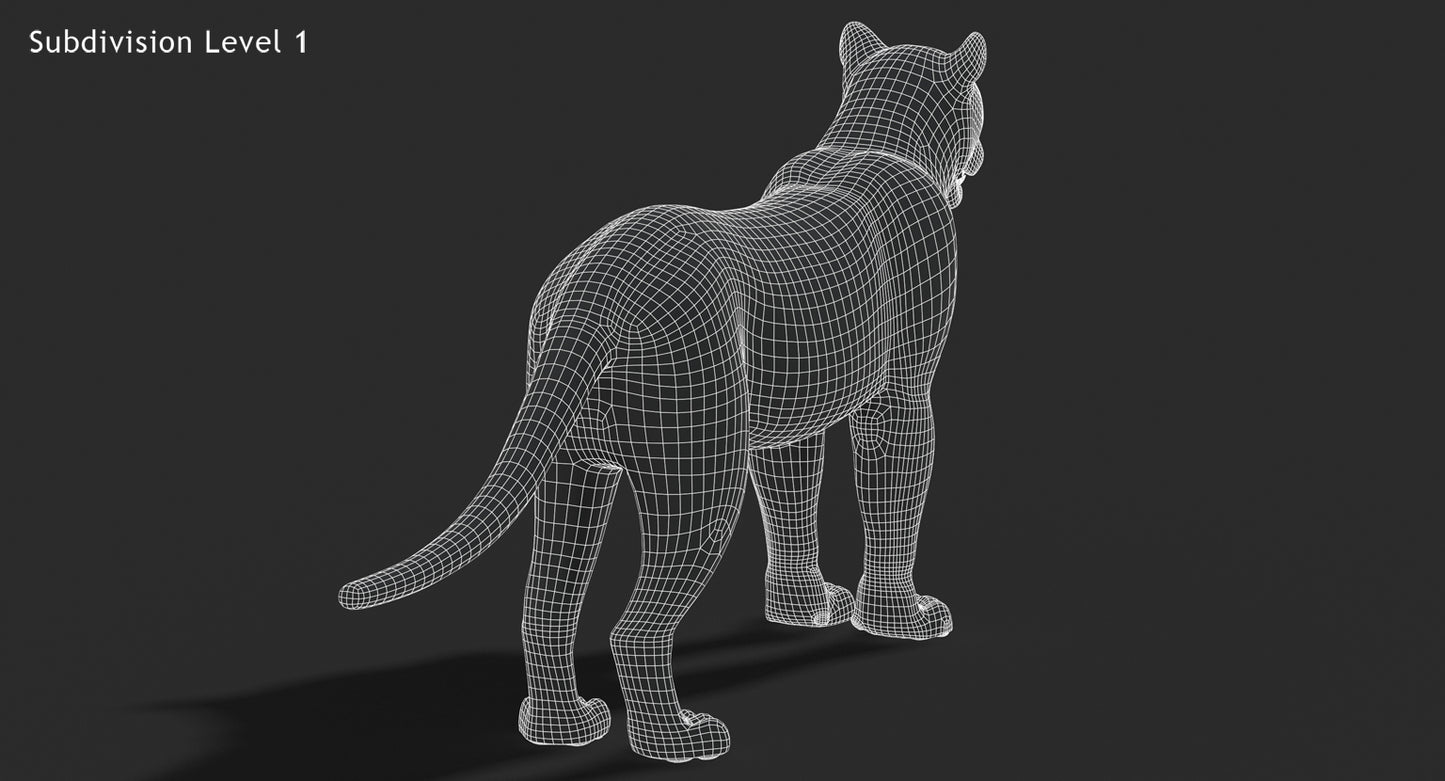 Big Cats 03 3D Model