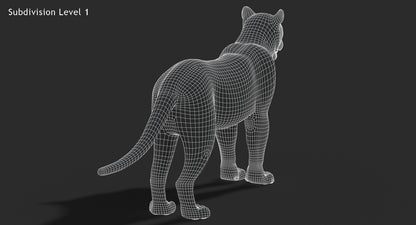 Big Cats 03 3D Model