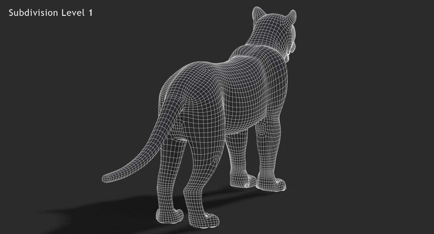 Big Cats 3D Model