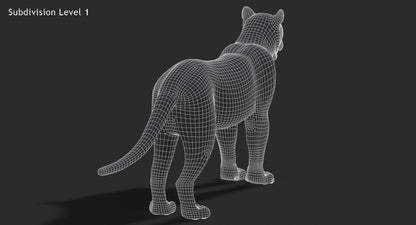 Big Cats 3D Model