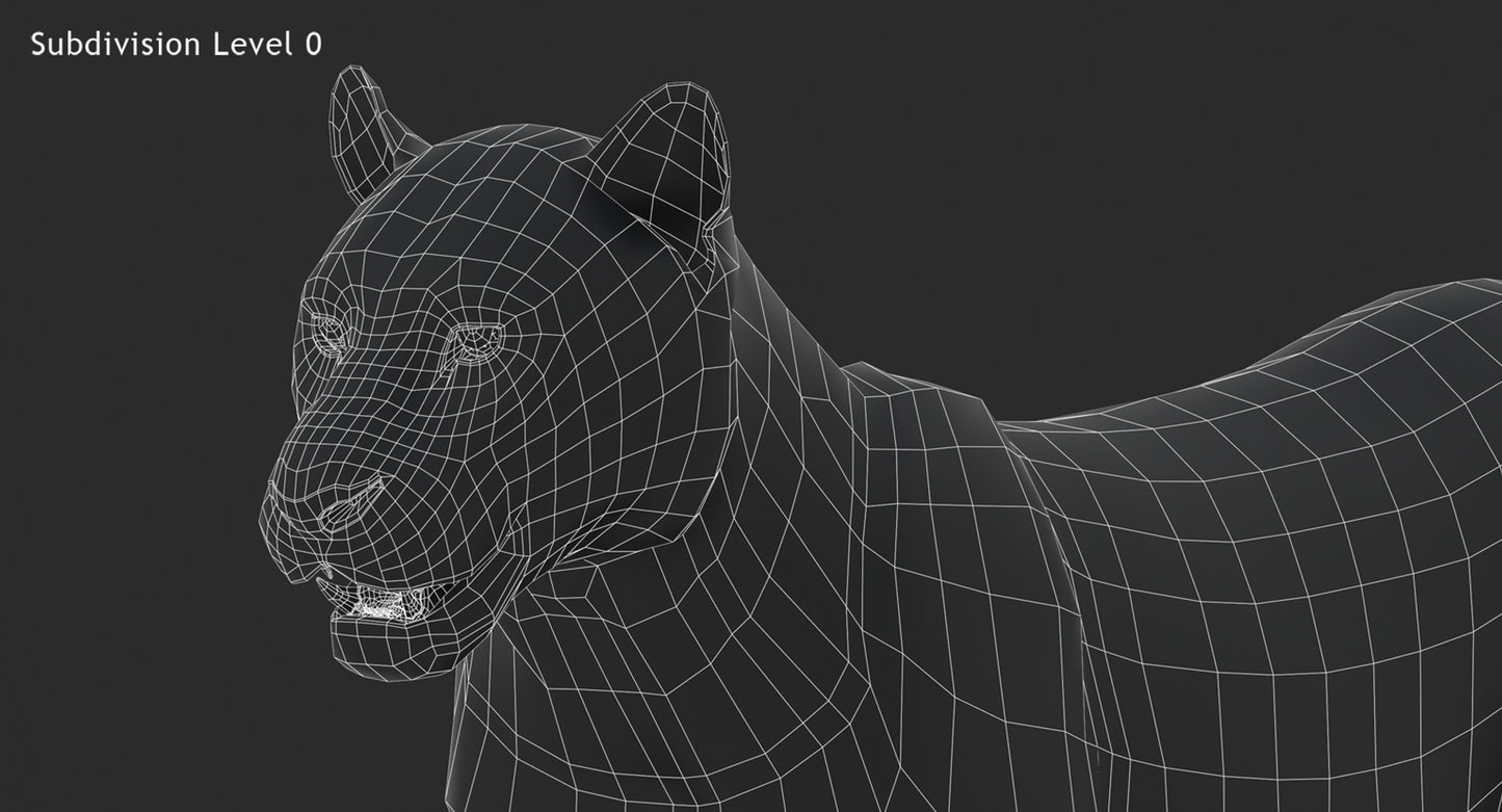 Big Cats 03 3D Model