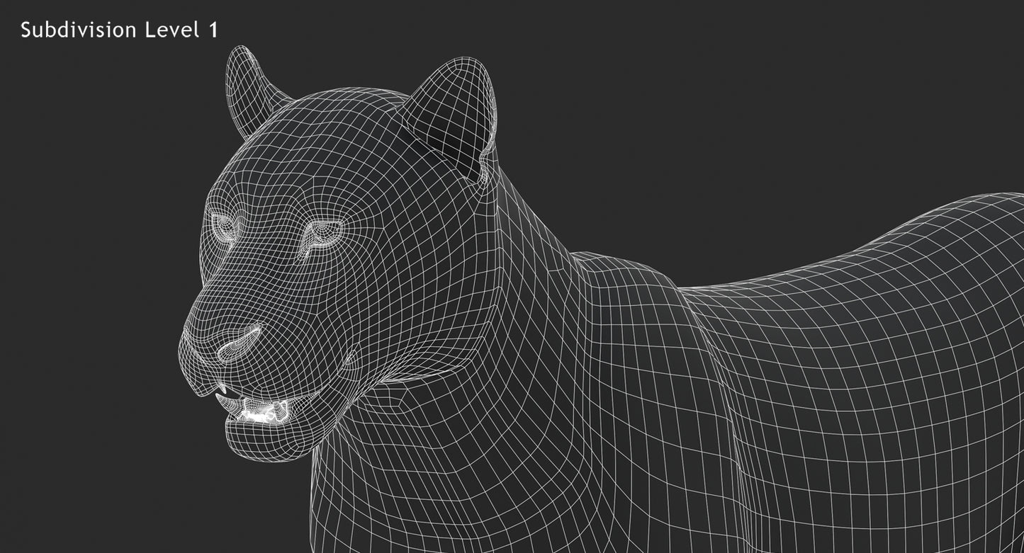 Big Cats 03 3D Model