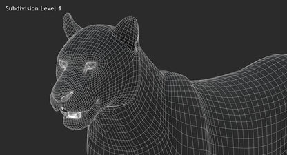 Big Cats 03 3D Model