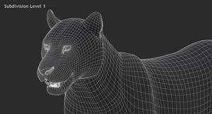 Big Cats 3D Model Thumbnail